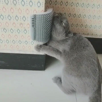 Tickling Comb Cat