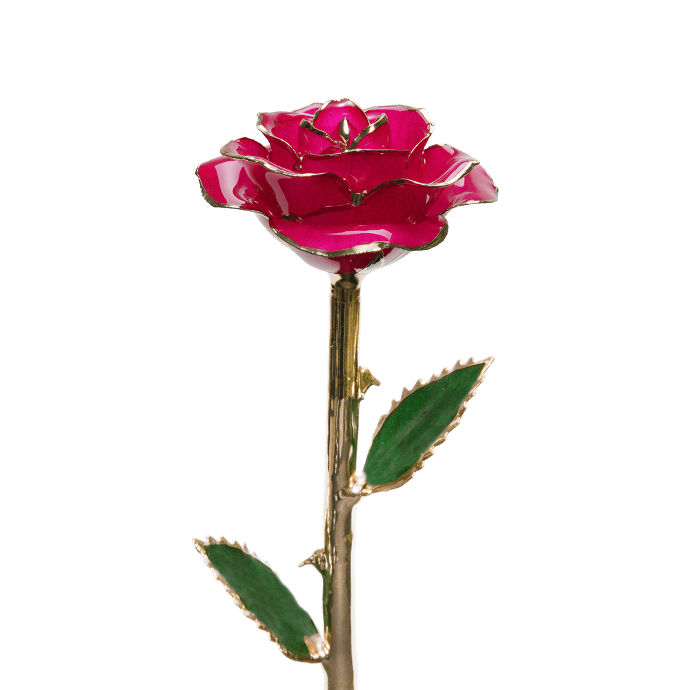 Keydrela 24k Gold Dipped Rose