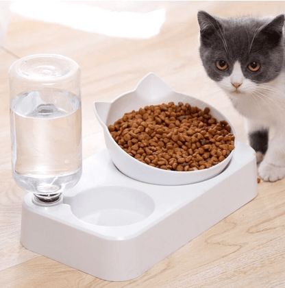 Keydrela Pet Feeder