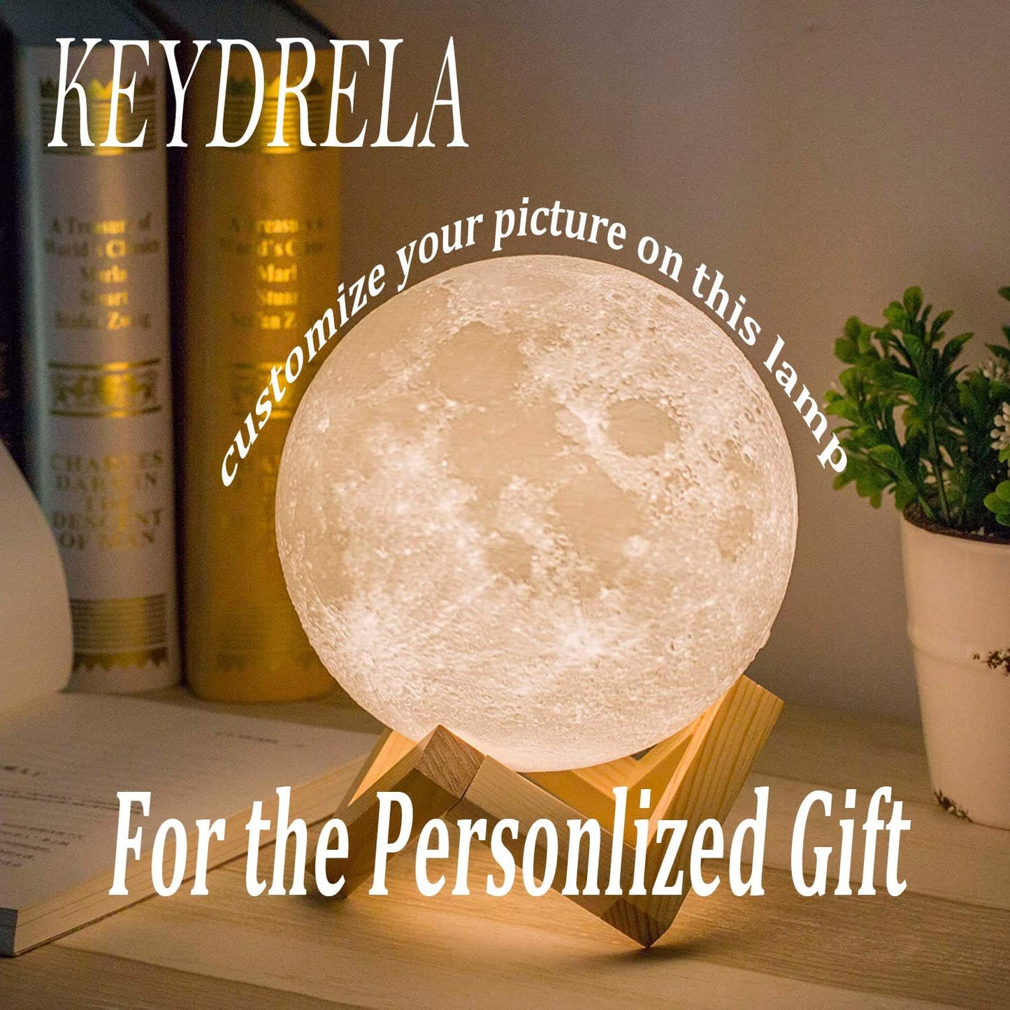 Customized 3D Photo Moon Lamp