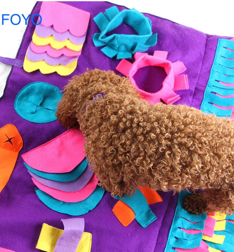 Keydrela Sniffing Pet Puzzle Toy --- SALE NOW ON -- DISCOUNT CODE "PETS"