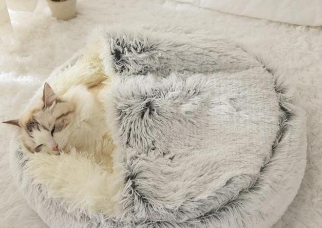 CatSuite Calming Bed