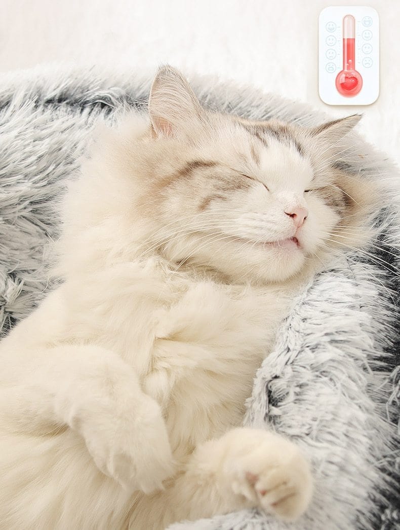CatSuite Calming Bed